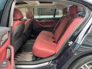 BMW 5 Series 2022 530Li Líder Traje de lujo interior foto 19