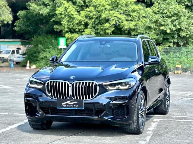 BMW X5 2021 xDrive30i X Design Suit exterior photo 1 BMW X5 2021 xDrive30i X Design Suit exterior photo 1