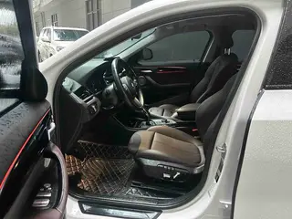 BMW X2 2022 sDrive25i M Conjunto deportivo interior foto 11
