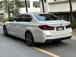 BMW 5 Series 2021 Reforma 530Li Líder Traje de lujo exterior foto 6