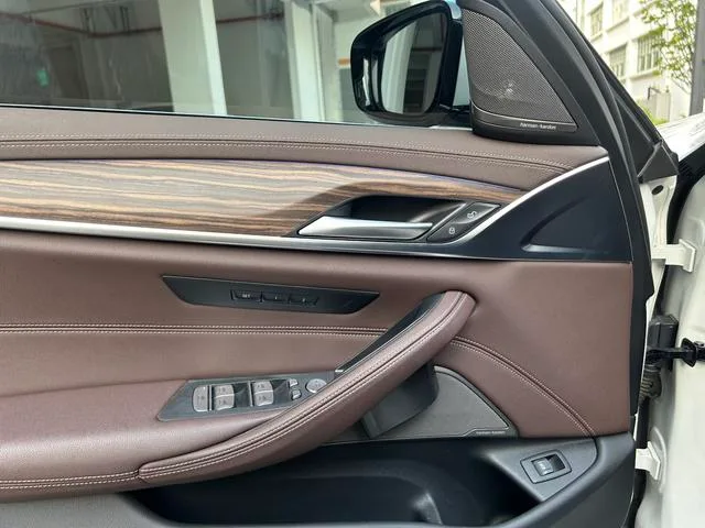 BMW 5 Series 2021 Reforma 530Li Líder Traje de lujo exterior foto 10