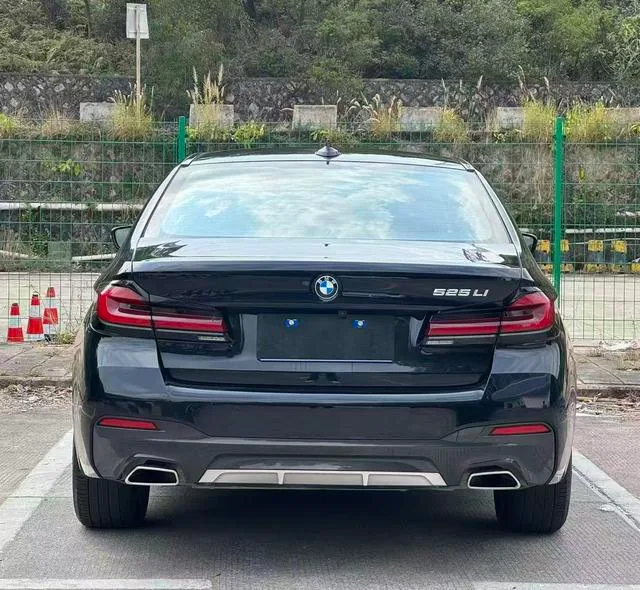 BMW 5 Series 2021 525Li M Conjunto deportivo interior foto 13