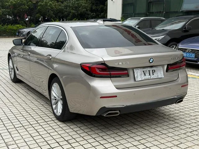 BMW 5 Series 2021 525Li Luxury Set interior photo 9