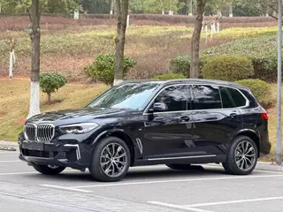 BMW X5 2022 xDrive 30Li M Спортивный костюм