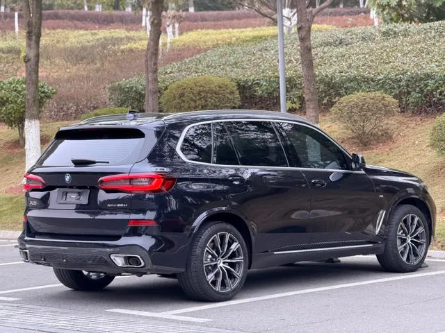 BMW X5 2022 xDrive 30Li M Conjunto deportivo interior foto 9 BMW X5 2022 xDrive 30Li M Conjunto deportivo interior foto 9