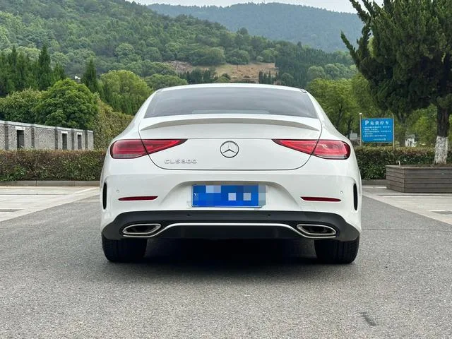 Mercedes-Benz CLS 2021 CLS 300 Luxury type exterior photo 5