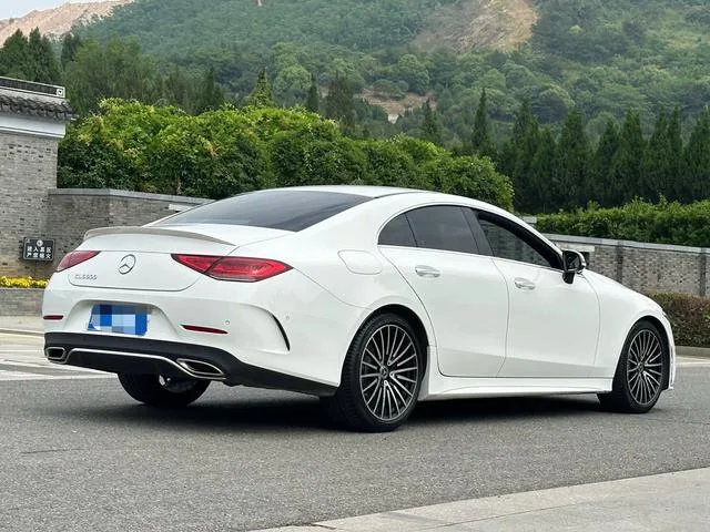 Mercedes-Benz CLS 2021 CLS 300 Luxury type exterior photo 6
