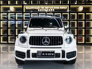 Mercedes-Benz G-Class 2020 G 350 exterior photo 2