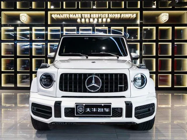 Mercedes-Benz G-Class 2020 G 350 exterior photo 2