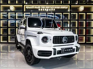 Mercedes-Benz G-Class 2020 G 350 exterior photo 3