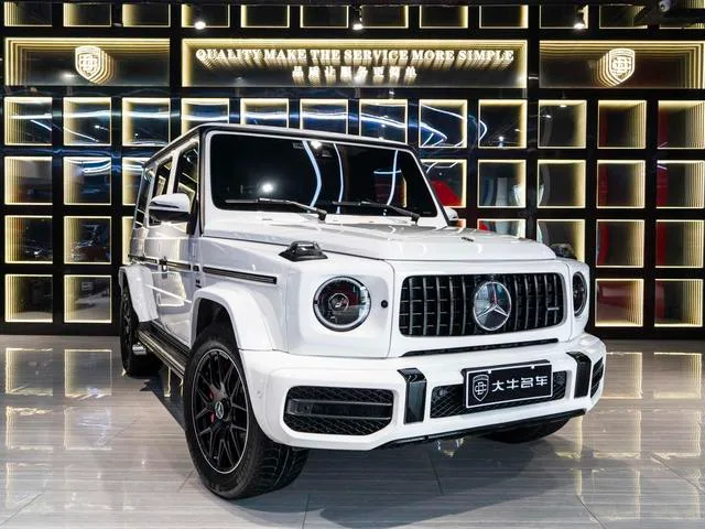 Mercedes-Benz G-Class 2020 G 350 exterior photo 3