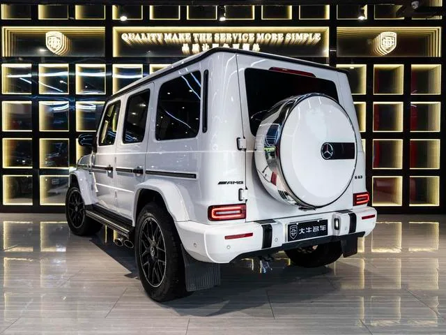 Mercedes-Benz G-Class 2020 G 350 exterior photo 4