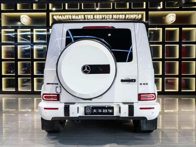 Mercedes-Benz G-Class 2020 G 350 exterior photo 5