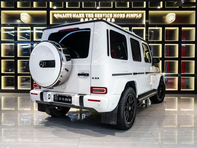 Mercedes-Benz G-Class 2020 G 350 exterior photo 6