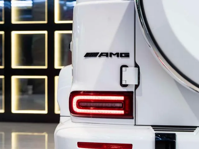Mercedes-Benz G-Class 2020 G 350 exterior photo 9
