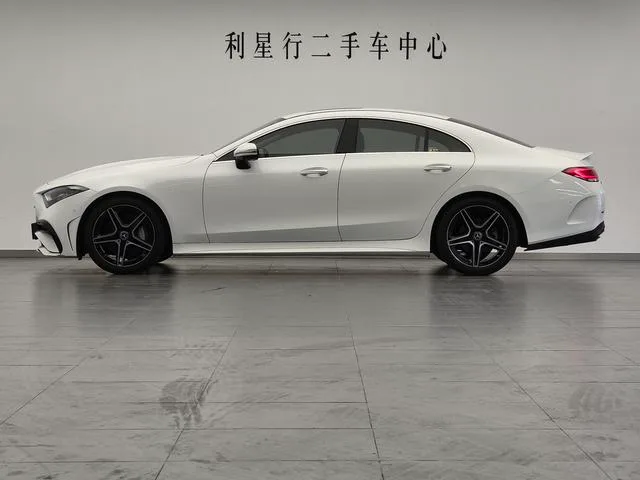 Mercedes-Benz CLS 2022 CLS 300 Luxury type exterior photo 8