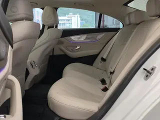 Mercedes-Benz CLS 2022 CLS 300 Luxury type interior photo 12