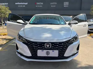 Changan Raeton CC 2021 Blue Whale Edition 1.5T DCT Flagship interior photo 13