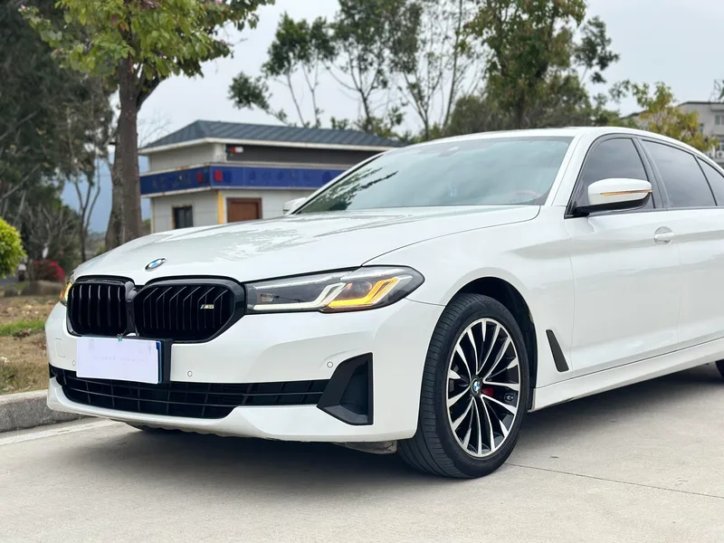 BMW 5 Series 2021 Restyling 525Li Luxury Set interior photo 17