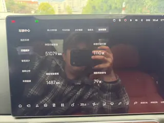 Li Auto L9 2022 Max Версия интерьер фото 15