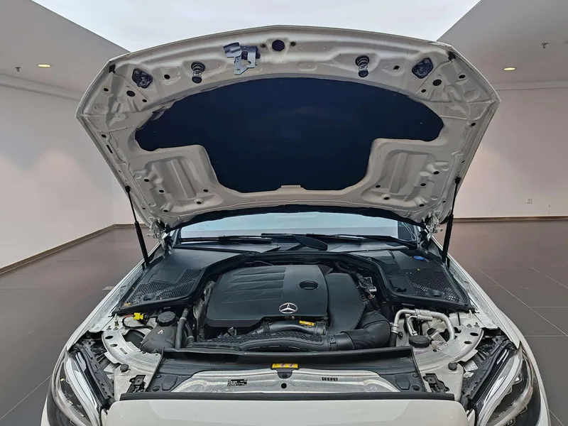 Mercedes-Benz C-Class 2021 C 260 Xing Yao Zhen Tibetan Edition interior photo 17