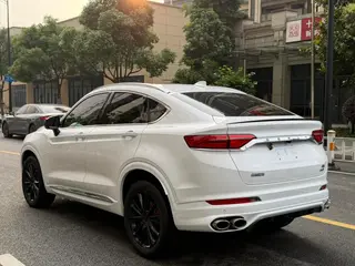 Geely Xingyue 2020 High-energy version 350T Shining Star exterior photo 5 Geely Xingyue 2020 High-energy version 350T Shining Star exterior photo 5