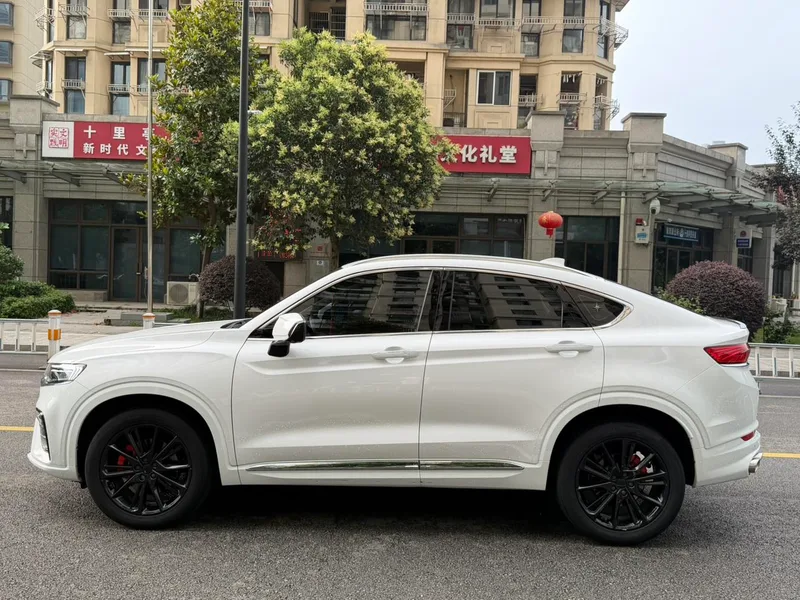 Geely Xingyue 2020 High-energy version 350T Shining Star interior photo 20 Geely Xingyue 2020 High-energy version 350T Shining Star interior photo 20