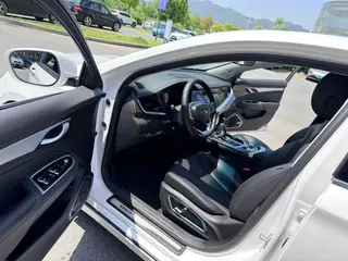 Geely Borui 2020 Модификация 1.8T Пилотная версия экстерьер фото 7 Geely Borui 2020 Модификация 1.8T Пилотная версия экстерьер фото 7
