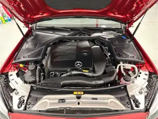 Mercedes-Benz C-Class 2021 C 260 L Sports Star Yao Zhen Tibetan Edition exterior photo 7