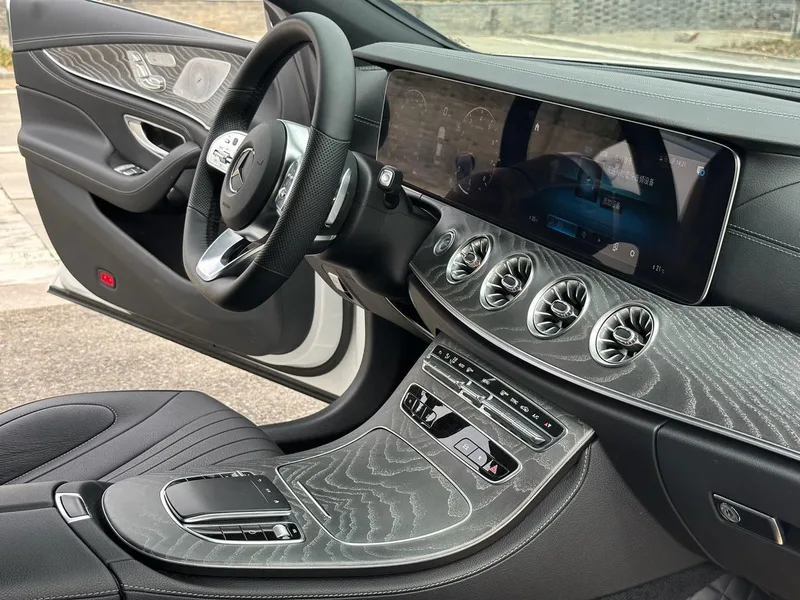Mercedes-Benz CLS 2021 CLS 300 De lujo interior foto 11