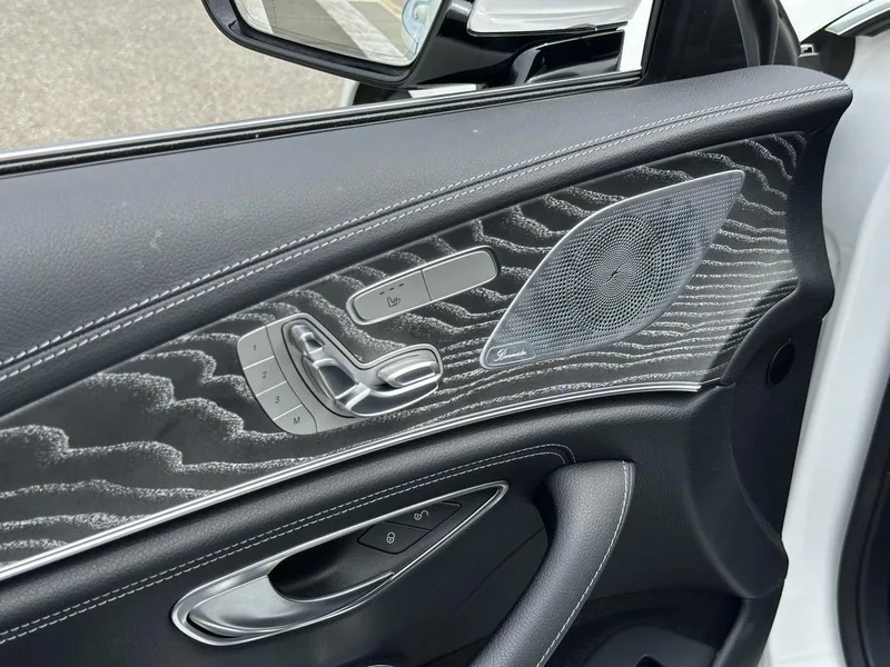 Mercedes-Benz CLS 2021 CLS 300 De lujo interior foto 12