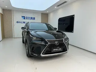 Lexus NX 2018 300h Precursor Fengshang Edition Country VI exterior photo 3 Lexus NX 2018 300h Precursor Fengshang Edition Country VI exterior photo 3
