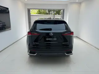 Lexus NX 2018 300h Precursor Fengshang Edition Country VI interior photo 13 Lexus NX 2018 300h Precursor Fengshang Edition Country VI interior photo 13