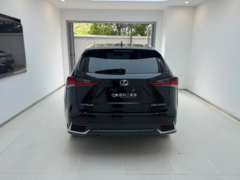 Lexus NX 2018 300h Precursor Fengshang Edition Country VI interior photo 13 Lexus NX 2018 300h Precursor Fengshang Edition Country VI interior photo 13