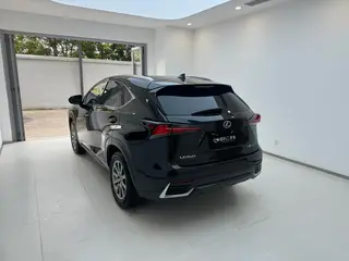 Lexus NX 2018 300h Precursor Fengshang Edition Country VI interior photo 14 Lexus NX 2018 300h Precursor Fengshang Edition Country VI interior photo 14