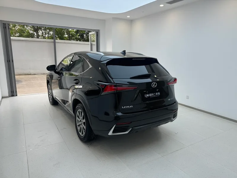 Lexus NX 2018 300h Precursor Fengshang Edition Country VI interior photo 14 Lexus NX 2018 300h Precursor Fengshang Edition Country VI interior photo 14