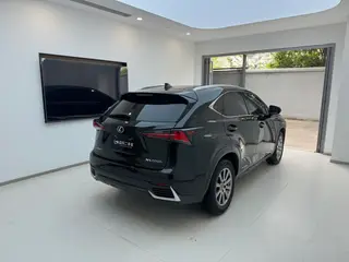 Lexus NX 2018 300h Precursor Fengshang Edition Country VI interior photo 15 Lexus NX 2018 300h Precursor Fengshang Edition Country VI interior photo 15