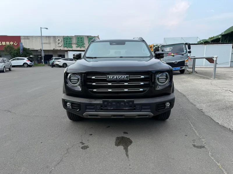 Haval Big Dog 2022 1.5T Two-wheel drive Labrador Edition exterior photo 2 Haval Big Dog 2022 1.5T Two-wheel drive Labrador Edition exterior photo 2
