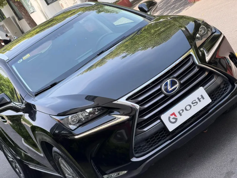 Lexus NX 2015 300h Tracción delantera Versión de Fengshang exterior foto 3 Lexus NX 2015 300h Tracción delantera Versión de Fengshang exterior foto 3