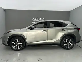 Lexus NX 2017 300h full drive Frontal Edition interior photo 13 Lexus NX 2017 300h full drive Frontal Edition interior photo 13