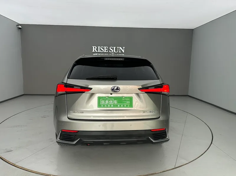 Lexus NX 2017 300h full drive Frontal Edition interior photo 16 Lexus NX 2017 300h full drive Frontal Edition interior photo 16