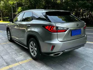Lexus RX 2016 300 Two-wheel drive elite version China V exterior photo 6