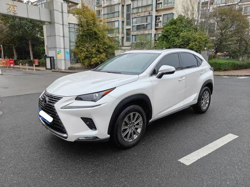 Lexus NX 2020 300h Precursor Fengshang Edition China V exterior photo 1 Lexus NX 2020 300h Precursor Fengshang Edition China V exterior photo 1