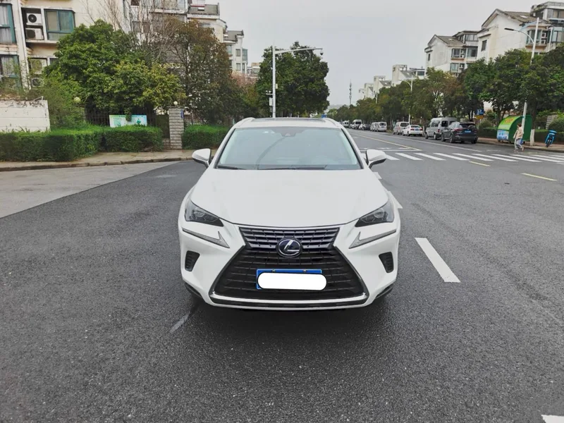Lexus NX 2020 300h Precursor Fengshang Edition China V exterior photo 2 Lexus NX 2020 300h Precursor Fengshang Edition China V exterior photo 2