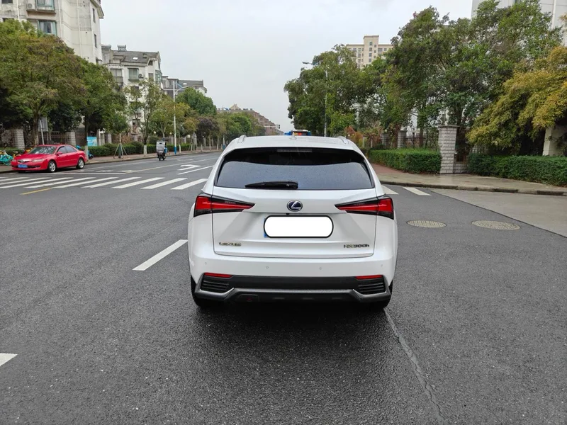 Lexus NX 2020 300h Precursor Fengshang Edition China V exterior photo 4 Lexus NX 2020 300h Precursor Fengshang Edition China V exterior photo 4