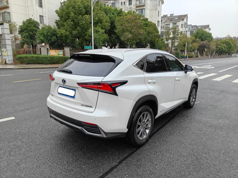 Lexus NX 2020 300h Precursor Fengshang Edition China V exterior photo 5 Lexus NX 2020 300h Precursor Fengshang Edition China V exterior photo 5