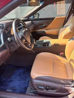 Lexus ES 2018 200 Luxury Edition China V interior photo 6