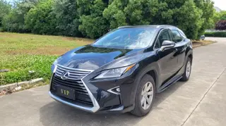 Lexus RX 2016 300 Two-wheel drive elite version China V