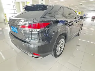 Lexus RX 2020 300 Two-wheel drive elite version China V interior photo 14 Lexus RX 2020 300 Two-wheel drive elite version China V interior photo 14