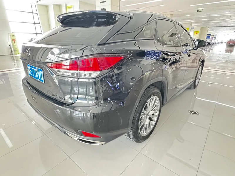 Lexus RX 2020 300 Two-wheel drive elite version China V interior photo 14 Lexus RX 2020 300 Two-wheel drive elite version China V interior photo 14